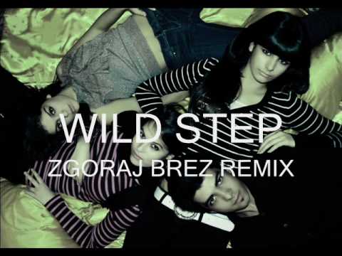 WILD STEP - ZGORAJ BREZ remix (promo)