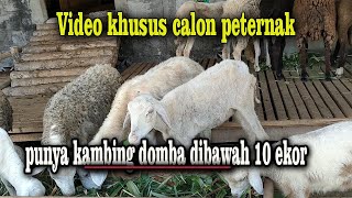 Download lagu Special success tips for prospective breeders and those who have just started raising less than 1... mp3