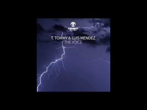 T. Tommy, Luis Mendez - The Voice