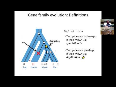 MIT CompBio Lecture 20 - Phylogenomics