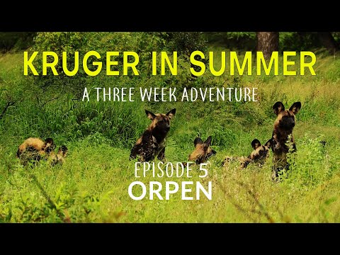 KRUGER IN SUMMER - a three week adventure - ORPEN (Episode 5)