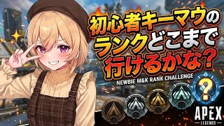 【APEX PC】参加型ランクブロンズ(+159ブロンズI)