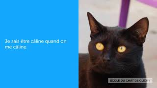 Ella, 3 ans à l'adoption