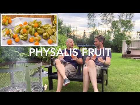 Homebrew Review - Martin Farstad Borg - Brett Saison