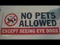Cats And Dogs Movie In Tamil
