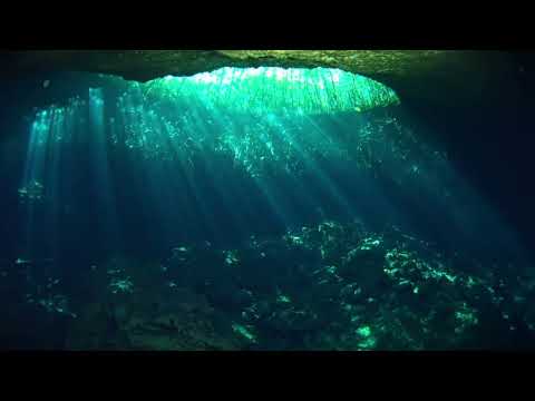 Four Dukes - Boho collectie tegels