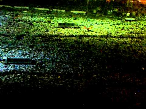 Safi mirani dorane haj mina