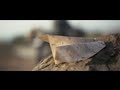 Francesco Rossi - Paper Aeroplane [Official Video ...