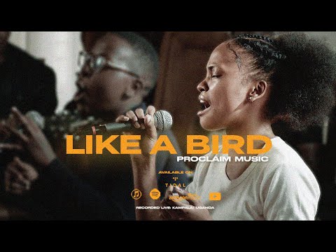 Thumbnail for Like A Bird video