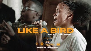 Like A Bird