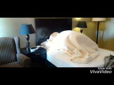 T bone twobeets and king nen