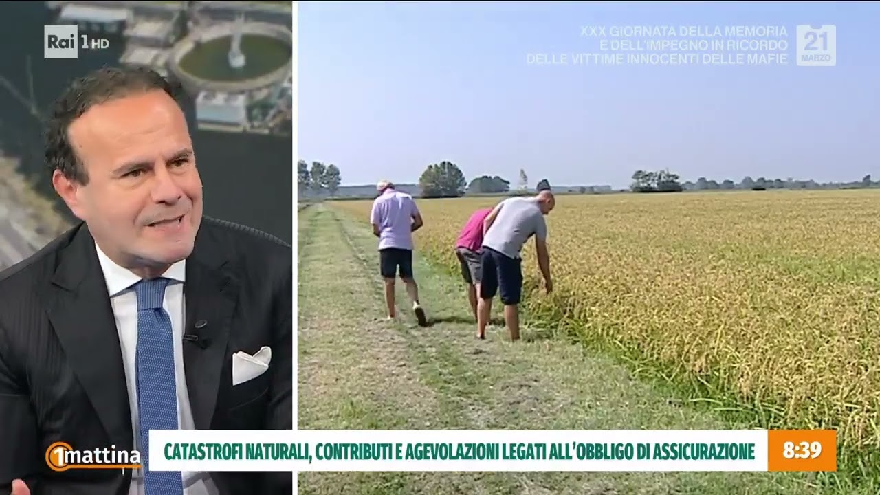 AD UNOMATTINA DEL 21 03 2025 L'OBBLIGO DELLE POLIZZE PER LE IMPRESE CON gianluca timpone e Ossini