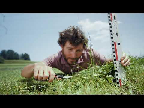 Wenn Du's machst, machs richtig! | Teil 2 | Fendt