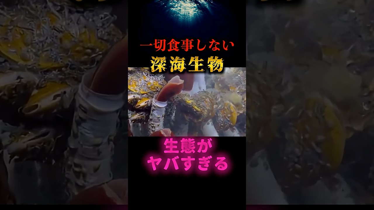 何も食べない！口も胃も肛門もない不思議な動物！ ハオリムシ