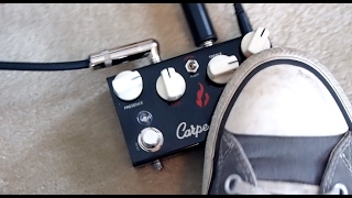 Video thumbnail for Fire Custom Shop - Carpe Diem Demo by Vinnie M