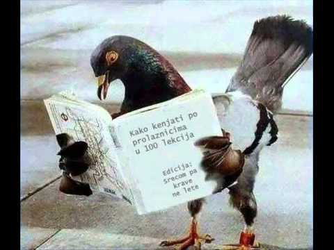 Nnd - Poruke feat. Milano, Vlada