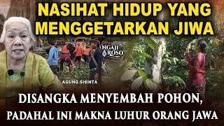 Download lagu 💥THINKED TO BE WORSHIPING TREES, EVEN THOUGH THIS IS A NOBLE MEANING OF THE JAVANESE PEOPLE mp3 Download lagu 💥THINKED TO BE WORSHIPING TREES, EVEN THOUGH THIS IS A NOBLE MEANING OF THE JAVANESE PEOPLE mp3