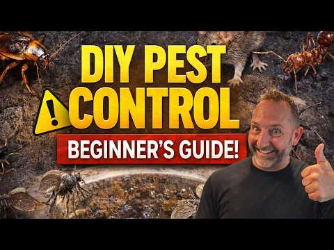 DIY Pest Control: The COMPLETE Beginner’s Guide (Start to Finish Like a Pro)