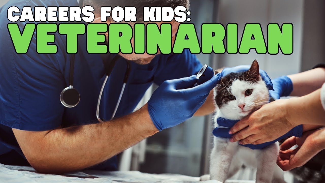 Careers for Kids: Veterinarian | Learn about the job of a veterinarian