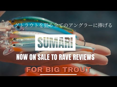 Vobler Tiemco Sumari 110F 11cm 10.5g 209 F