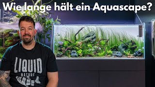 Wie lange hält ein Aquascape?