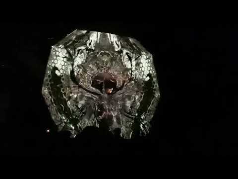 Hesperus Gathering 2021 - Oroboro