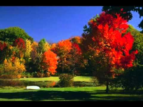 YE MOSAM YE MAST NAZARE.flv