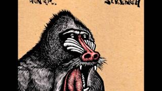 Charlie Hunter - Porter Hayes