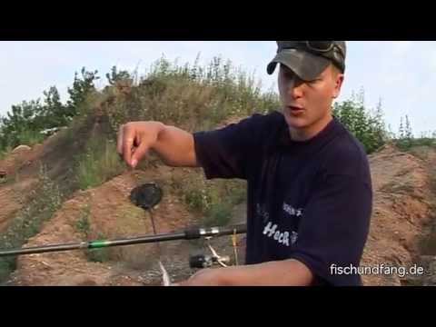 Stand-up fishing for zander