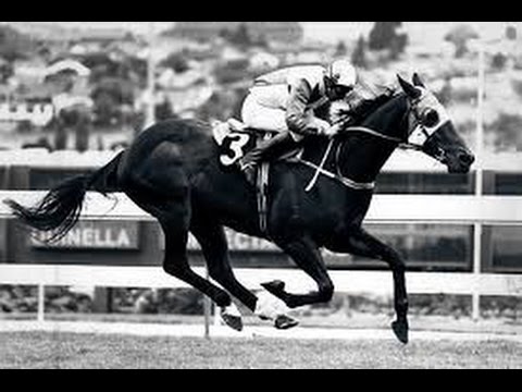 1987 MVRC Moir Stakes _ Placid Ark