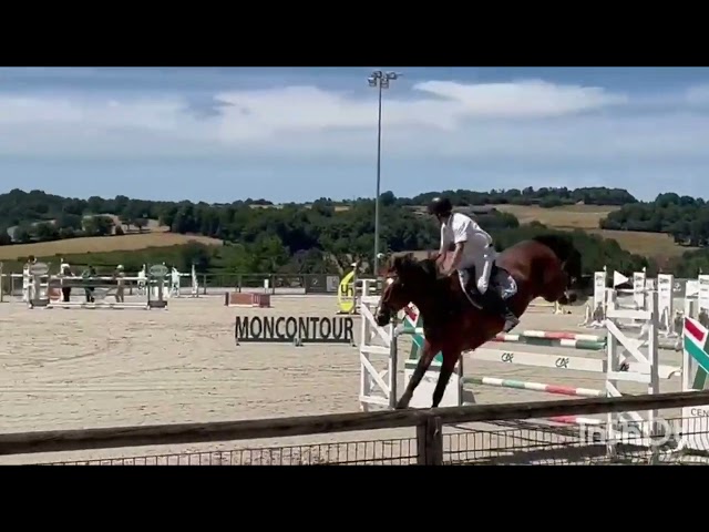 Jument 7ans &eacute;lite 