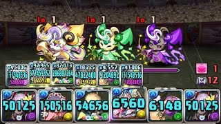 [초월 극한의 투기장 3/실패 주의] 수영복 벨로아 pt. (Feat. 벚꽃 눈보라 공주)