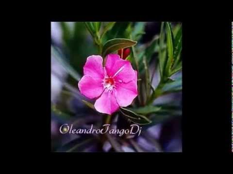 Por tu querer (tango)