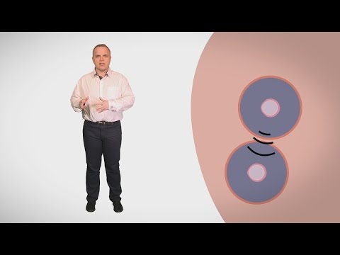 MOOC côté cours : La communication entre les cellules