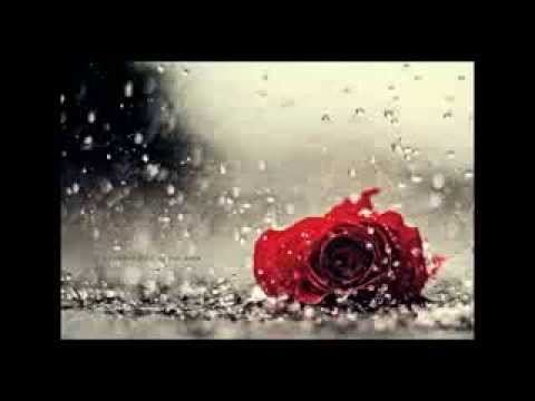 B.Bayarjargal - Chinii khoinoos