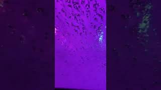 ラスベガスの洗車はカラフル過ぎた！　Car Wash Las Vegas Style? #shorts