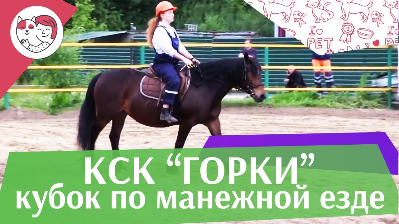 Летний кубок КСК Горки по манежной езде КЮР часть 9 на ilikepet