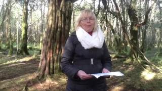 Liz sings the Famine Song written by Johnny McEvoy