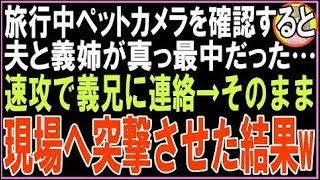 【スカッと】旅行中ペットカメラを確認すると夫と義姉が真っ最中だった…速攻で義兄に連絡し、その?
