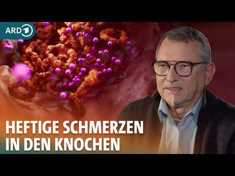 Abenteuer Diagnose: Schmerzen und ständige Müdigkeit - Was zerstört Ctefans Knochen?