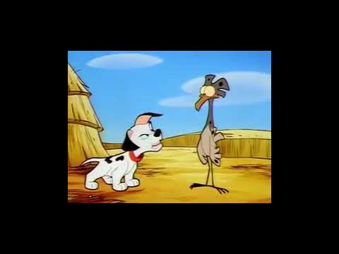 The Woodpile Cat King Part 11 - Meet Lucky and Rolly