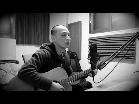 Too late for heroes - Mark Sholtez (Cover)