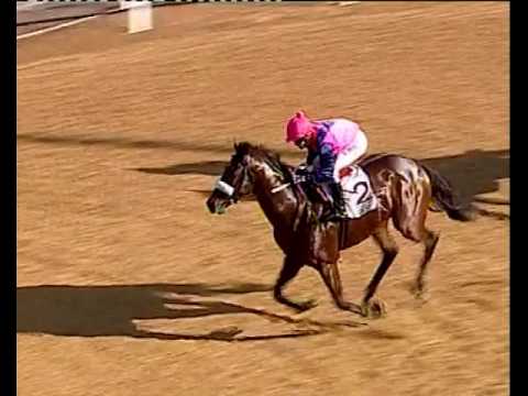 Legislate - 2014 KRA Guineas Gr2
