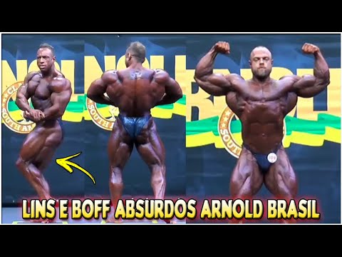 APRESENTAÇÃO INDIVIDUAL THIAGO LINS E VITOR BOFF ARNOLD BRASIL