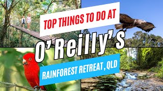 O'REILLY'S RAINFOREST RETREAT | Top Things to Do in ONE DAY, Lamington National Park, Queensland