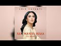 Aku Wanita Biasa C2 Rmx Krisdayanti Audio