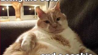 O Holy Night (Adolphe Adam 1847 cover)