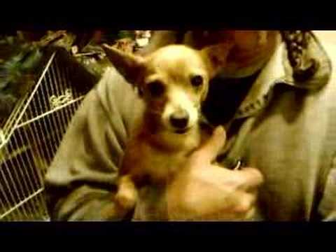 SANCHO THE GREAT!!!!!!!!!!