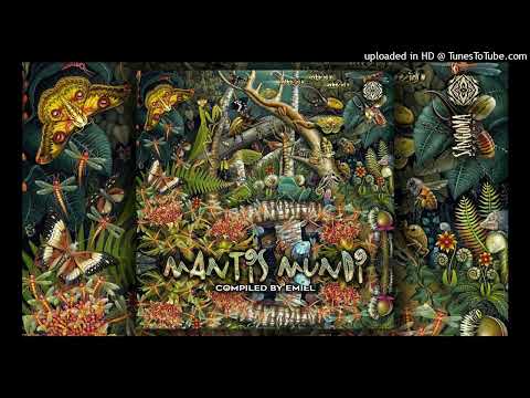 Biophotons & Antonymous - Frame of Thought.