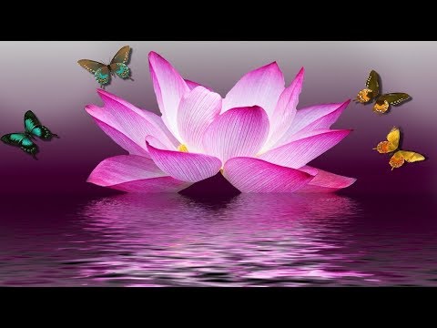 Instant CALM, 6 Hours Deep Sleep Healing Music, Meditation Music, (Nature Dream, Heal the Pain) ★ 71
